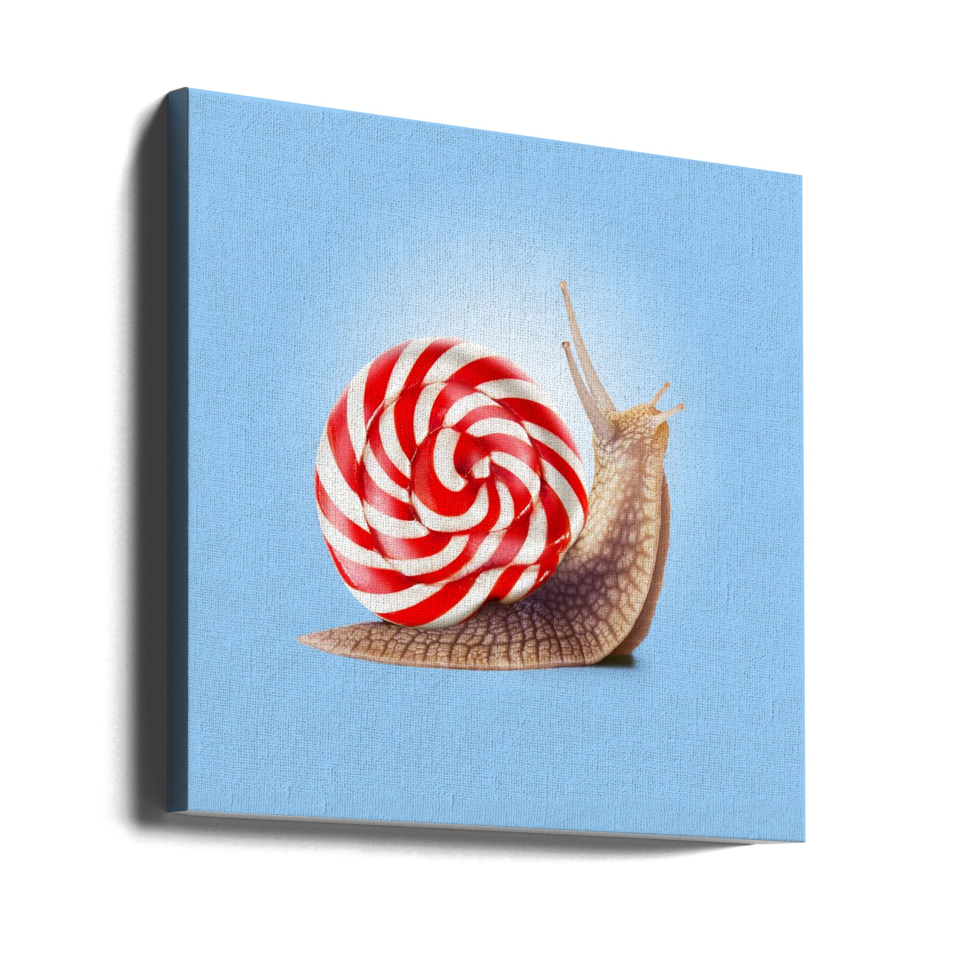 Snail Candy by Artem Pozdniakov | Surreal Animal Art, Large Canvas Wall Art Print | Artsy Earth