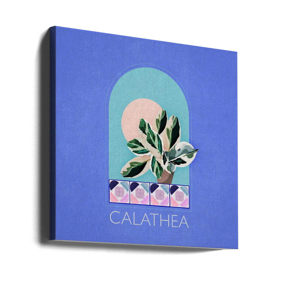 Green Sets Calathea by Emel Tunaboylu | Botanical Plant Illustration, Large Canvas Wall Art Print | Artsy Earth