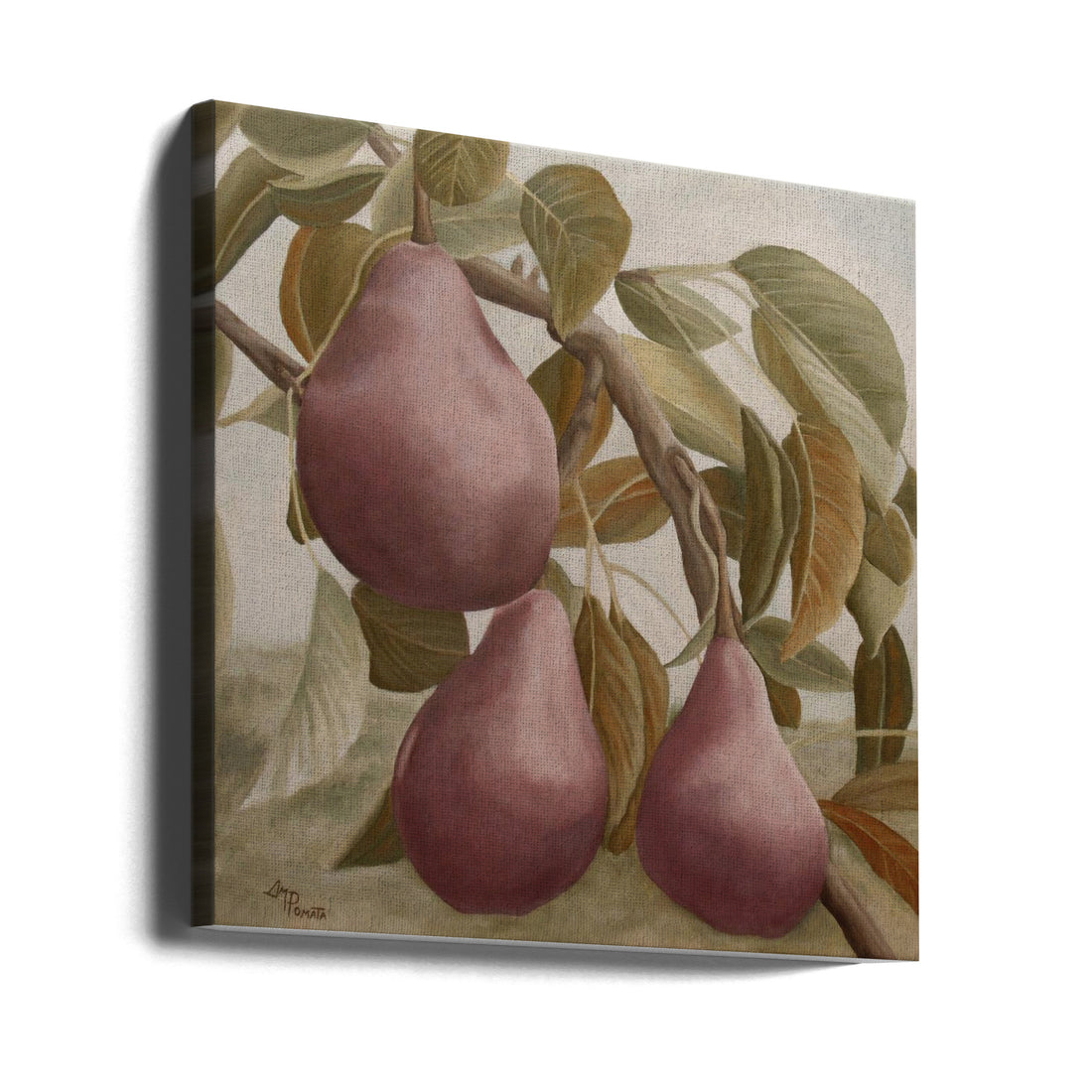 Max Red Bartlett Pears by Angeles M. Pomata | Fresh Painted Fruit, Large Canvas Wall Art Print | Artsy Earth