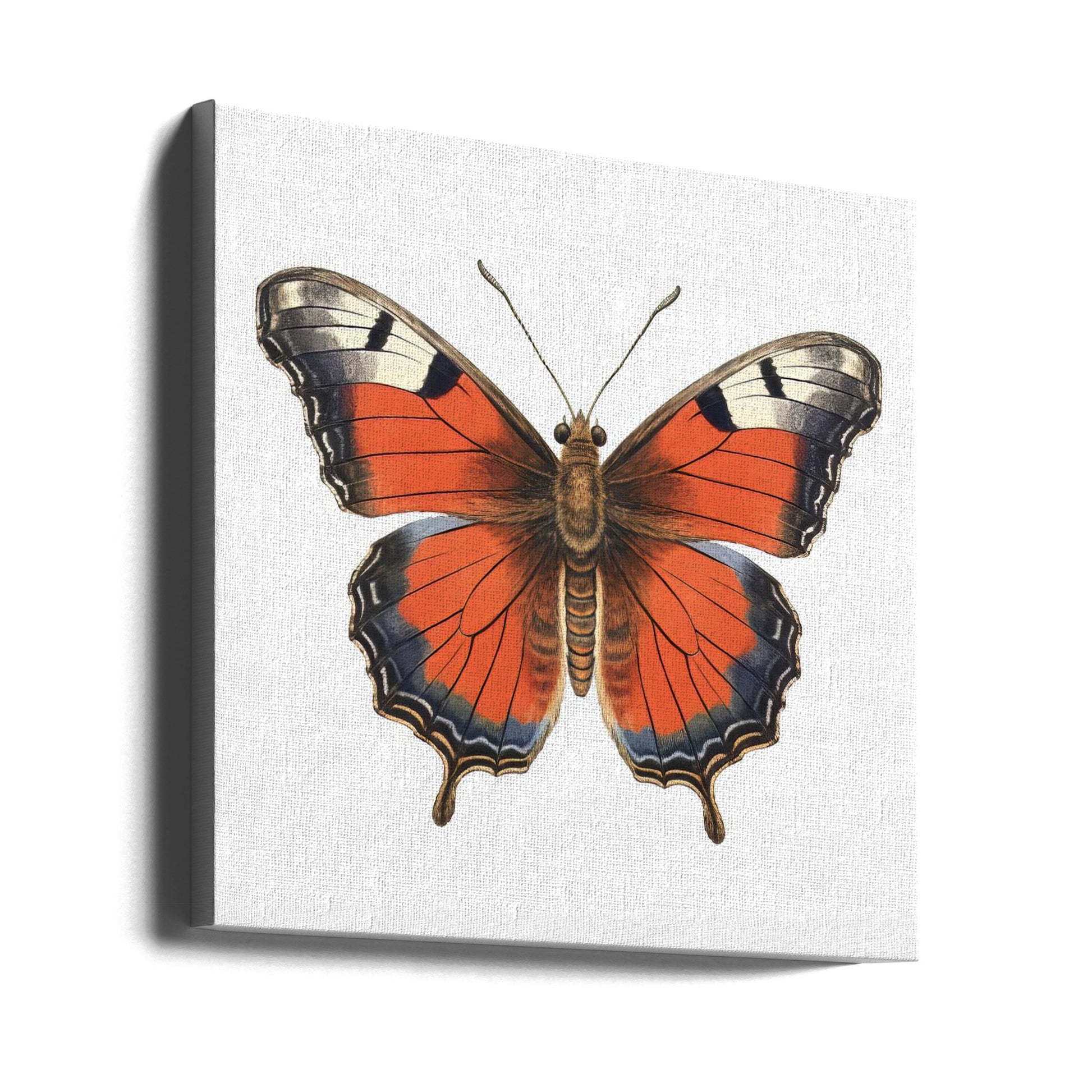 Butterfly Nursery Art by Bilge Paksoylu | Kids Room Butterfly, Large Canvas Wall Art Print | Artsy Earth