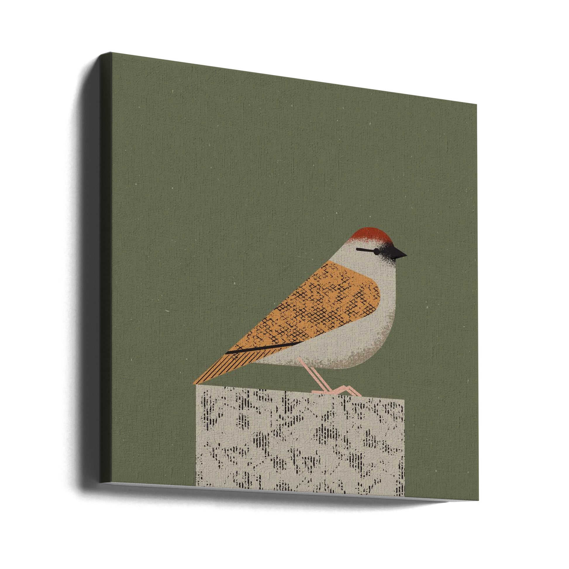 Sparrow by Vision Grasp Art | Vintage Bird Illustration, Large Canvas Wall Art Print | Artsy Earth