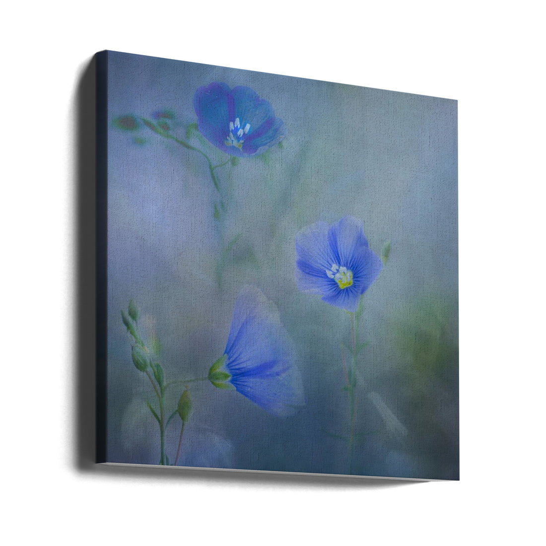 Blue Flax Flower by Marie-anne Stas | Delicate Botanical Flora, Large Canvas Wall Art Print | Artsy Earth