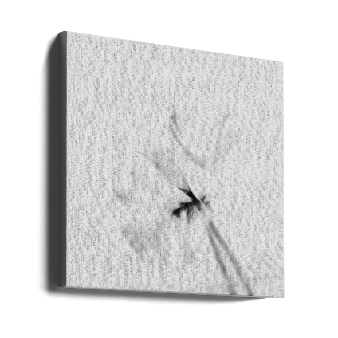 Moody flower 2 by Imaginative | Minimalist Floral Photography, Large Canvas Wall Art Print | Artsy Earth