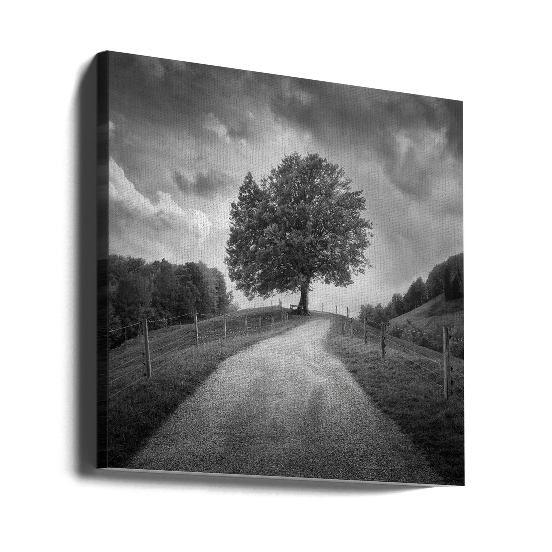 Beneath Black Skies by Thomas De Franzoni | Rural Storm Landscape, Large Canvas Wall Art Print | Artsy Earth