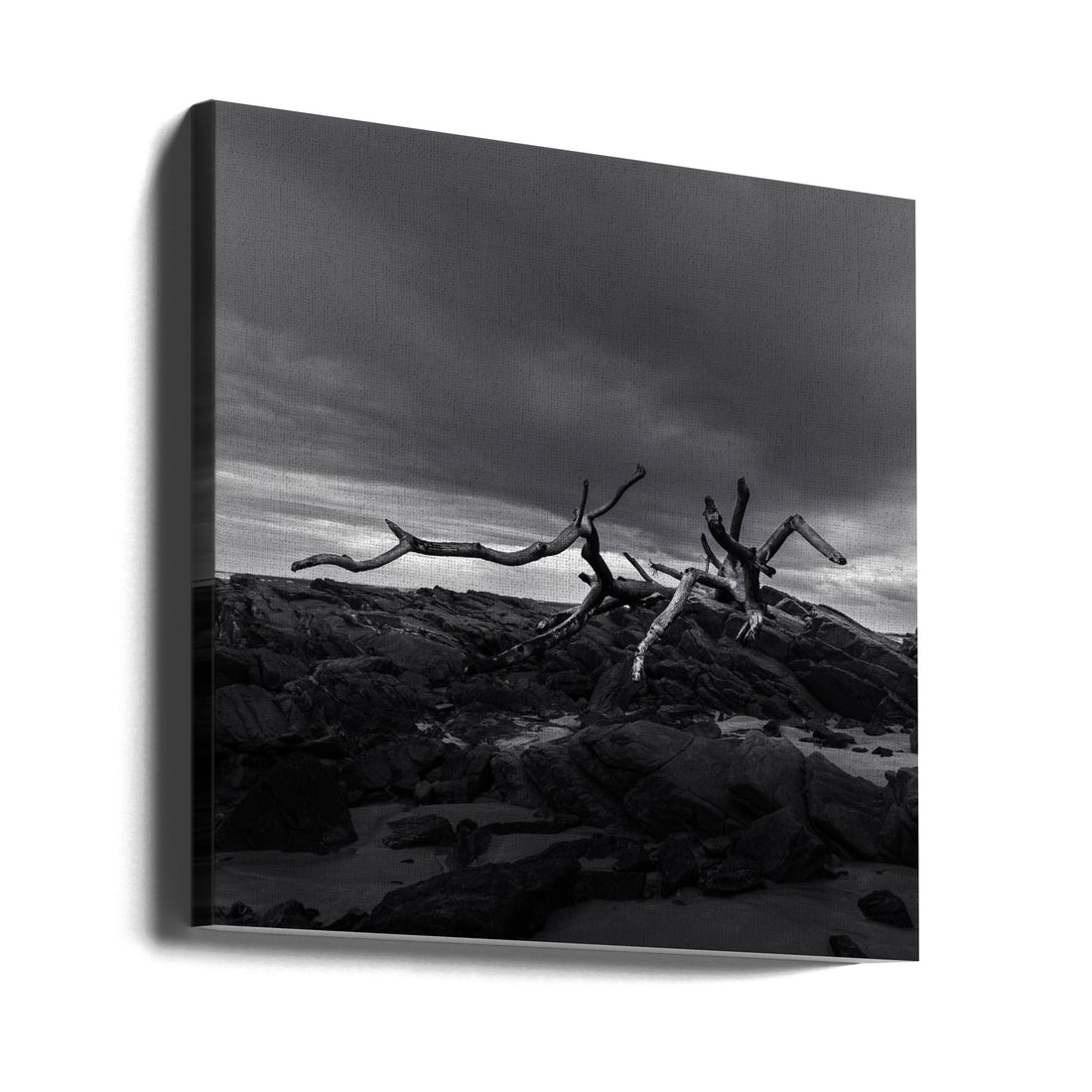 Flotsam Remnants by Ray Truter | Black And White Seascape, Large Canvas Wall Art Print | Artsy Earth