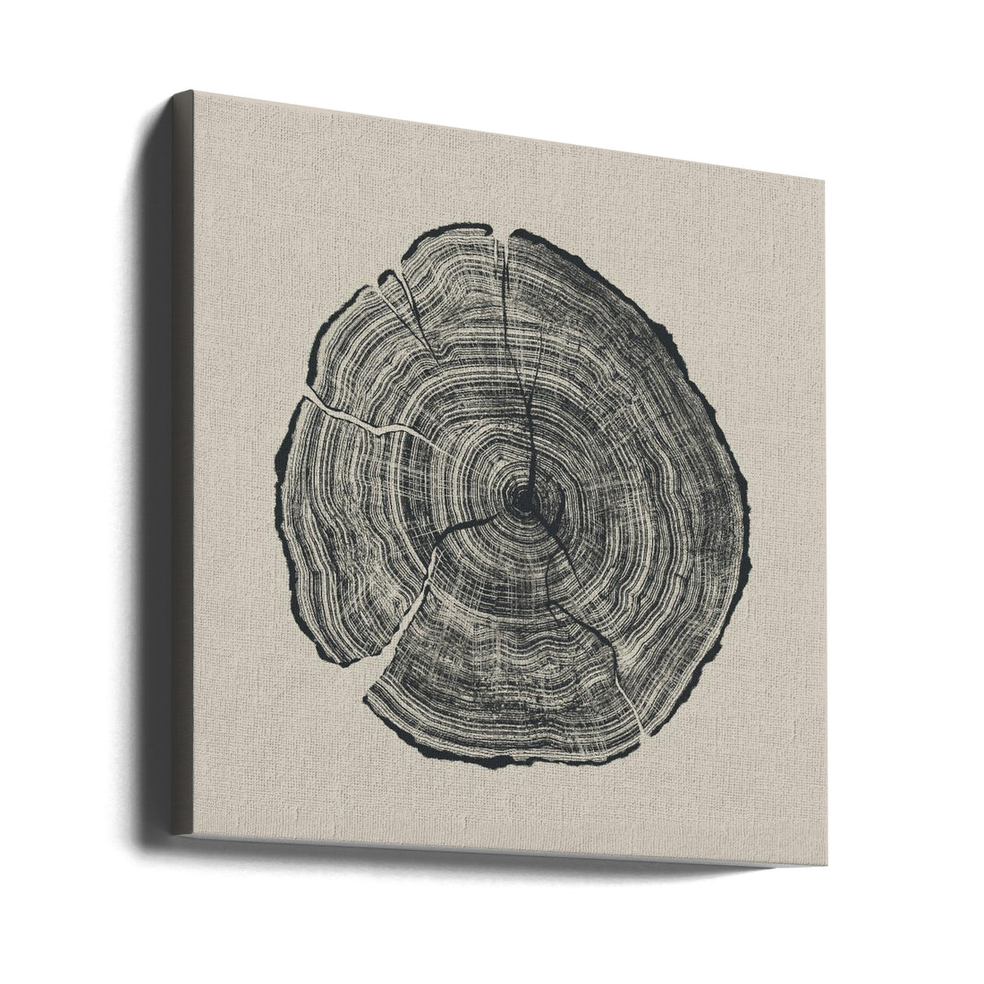 Hand Drawn Oak by Dan Hobday | Minimalist Nature Illustration, Large Canvas Wall Art Print | Artsy Earth