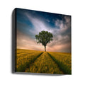 Lonely Tree Field by Piotr Krol (bax) | Rural Landscape Solitude, Large Canvas Wall Art Print | Artsy Earth