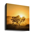 Golden Sunrise by Piet Flour | African Landscape Silhouette, Large Canvas Wall Art Print | Artsy Earth