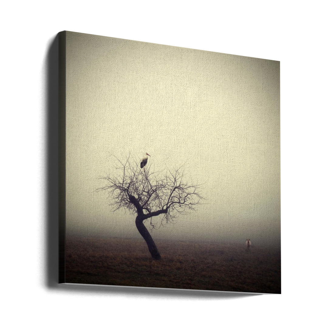 Meeting in the Morning by Holger Droste | Foggy Rural Landscape, Large Canvas Wall Art Print | Artsy Earth