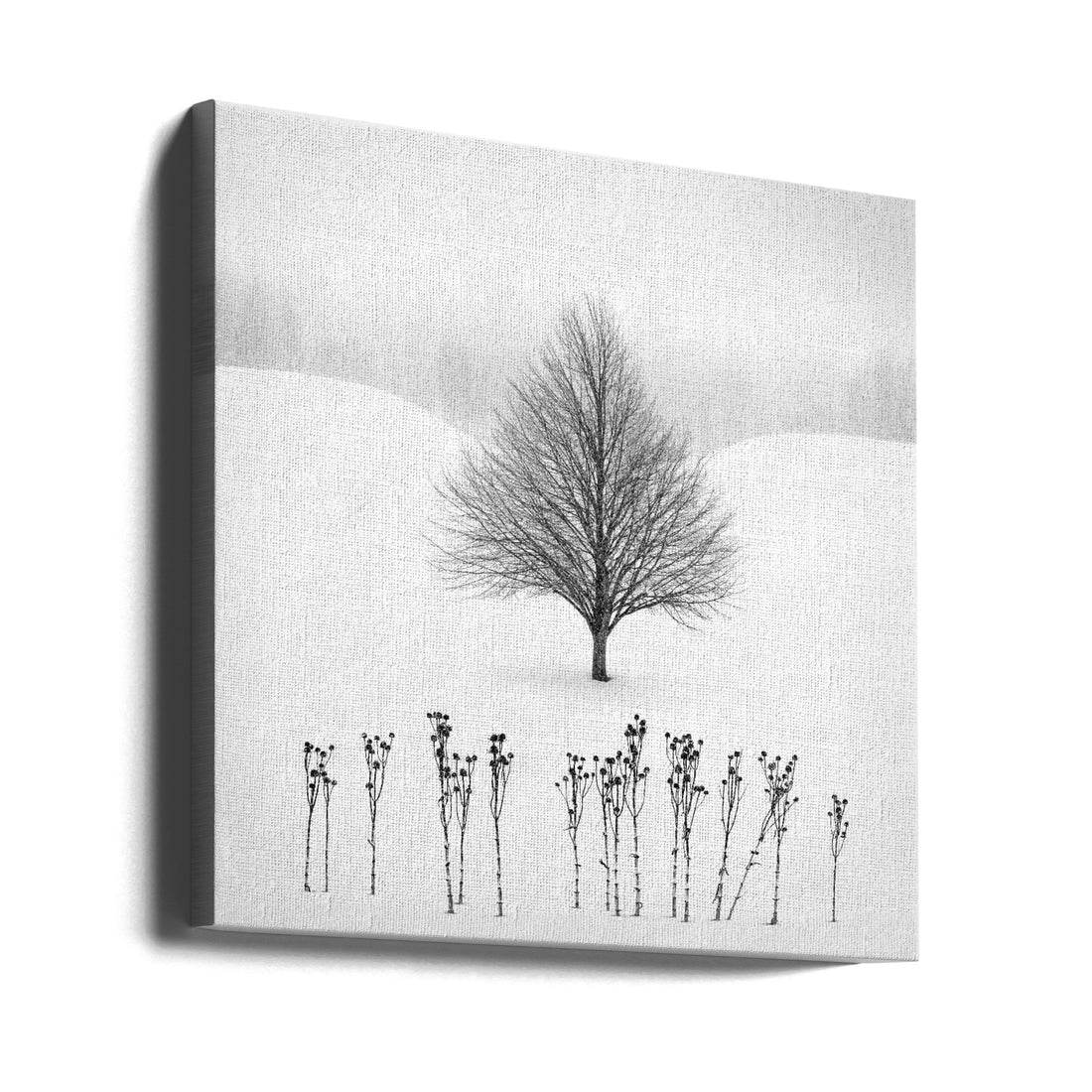 Winter Tree Landscape by Matt Anderson | Snowy Black And White, Large Canvas Wall Art Print | Artsy Earth