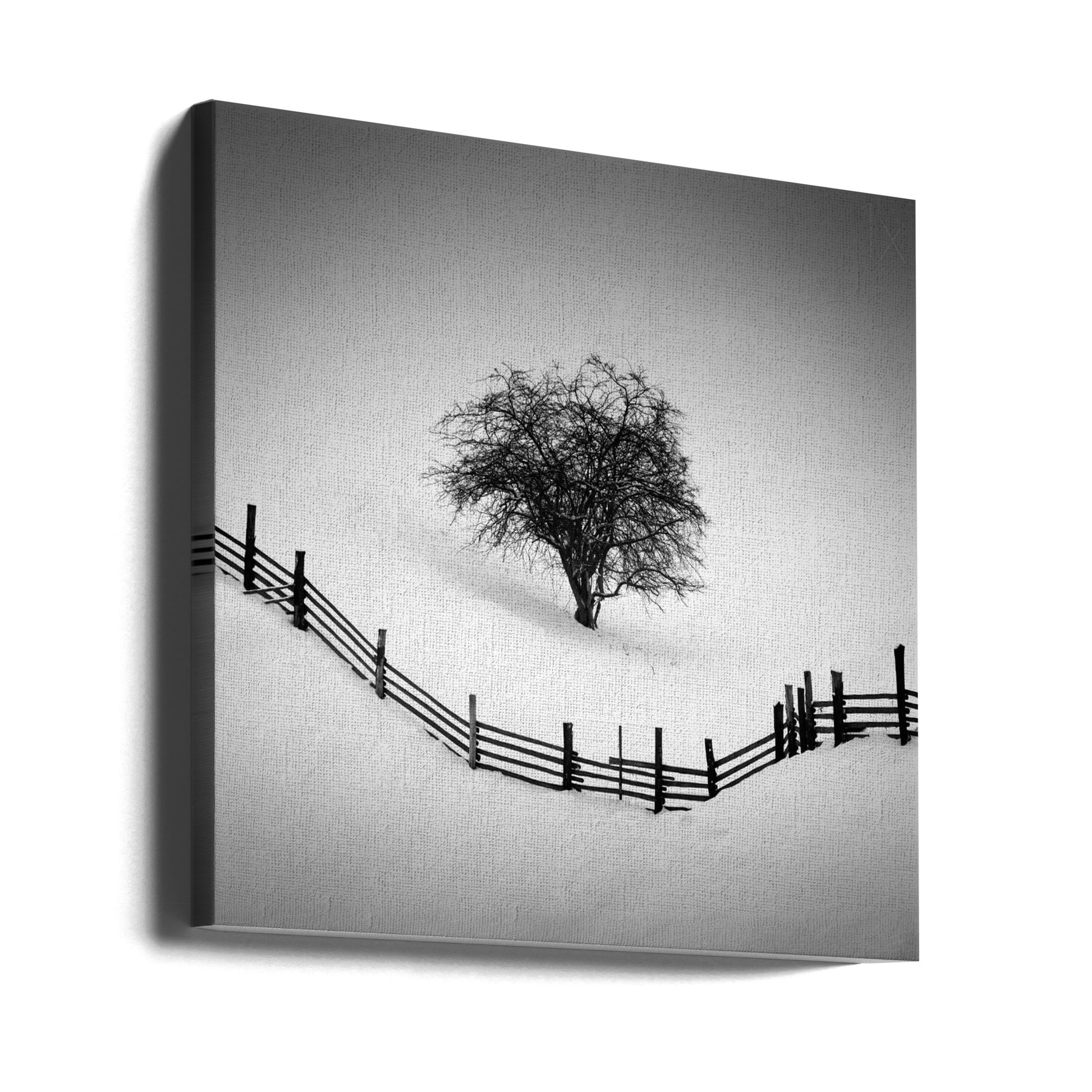 Trapped Tree Winter by Martin Rak | Minimalist Snowy Landscape, Large Canvas Wall Art Print | Artsy Earth