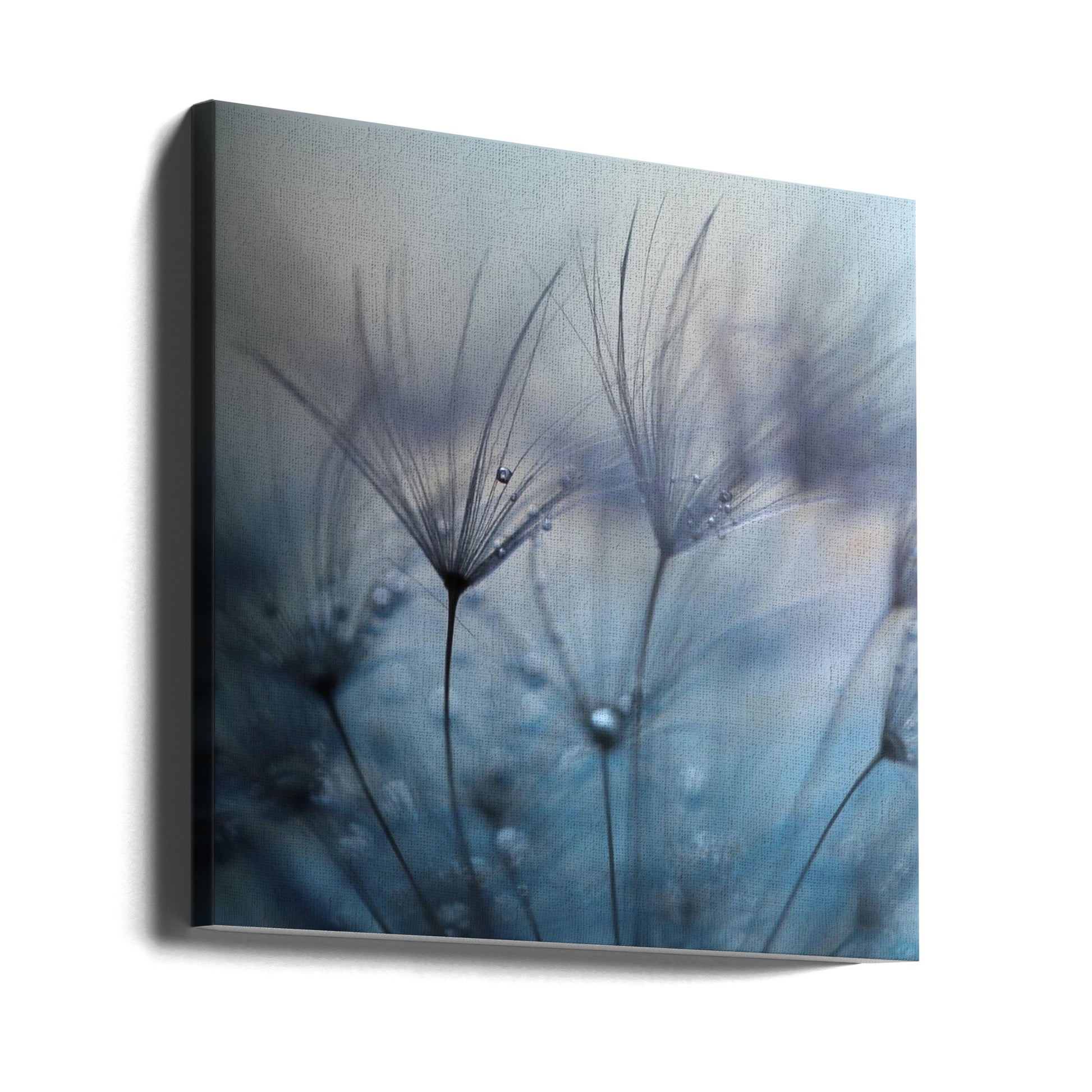 Teardrops by Mathieu Irthum | Delicate Water Drops, Large Canvas Wall Art Print | Artsy Earth