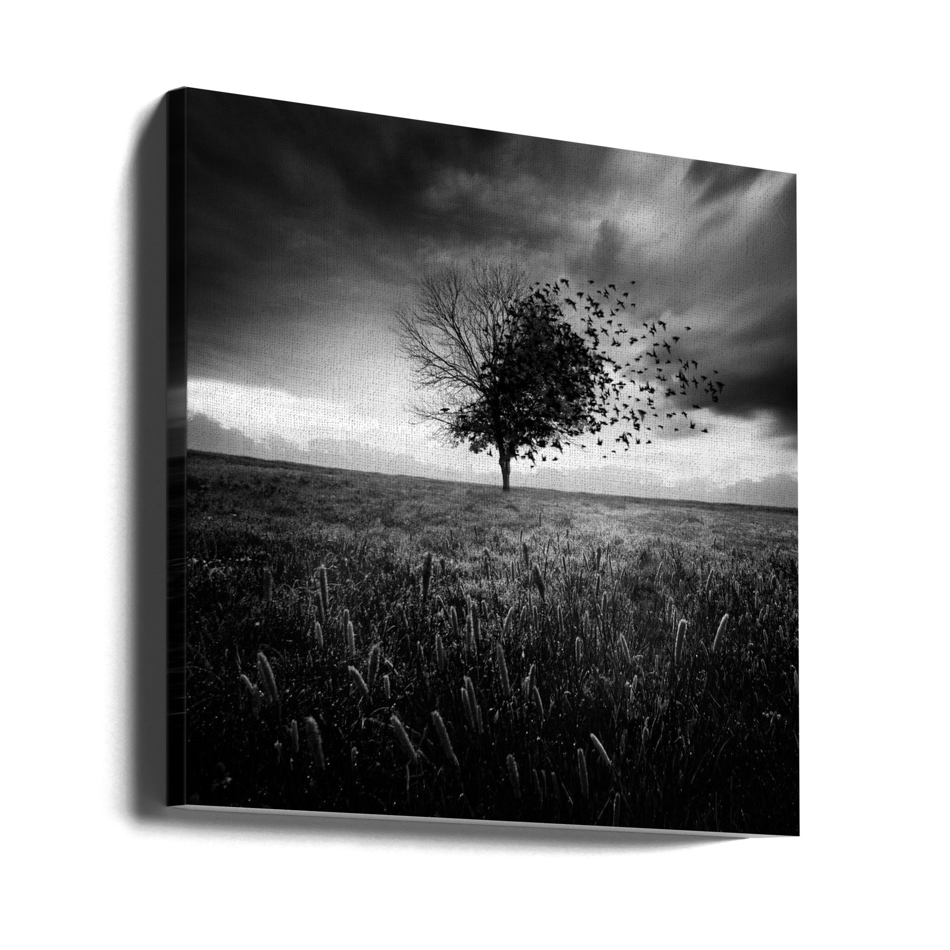 Lost Spring Illusion by Sebastien Del Grosso | Surreal Lonely Landscape, Large Canvas Wall Art Print | Artsy Earth