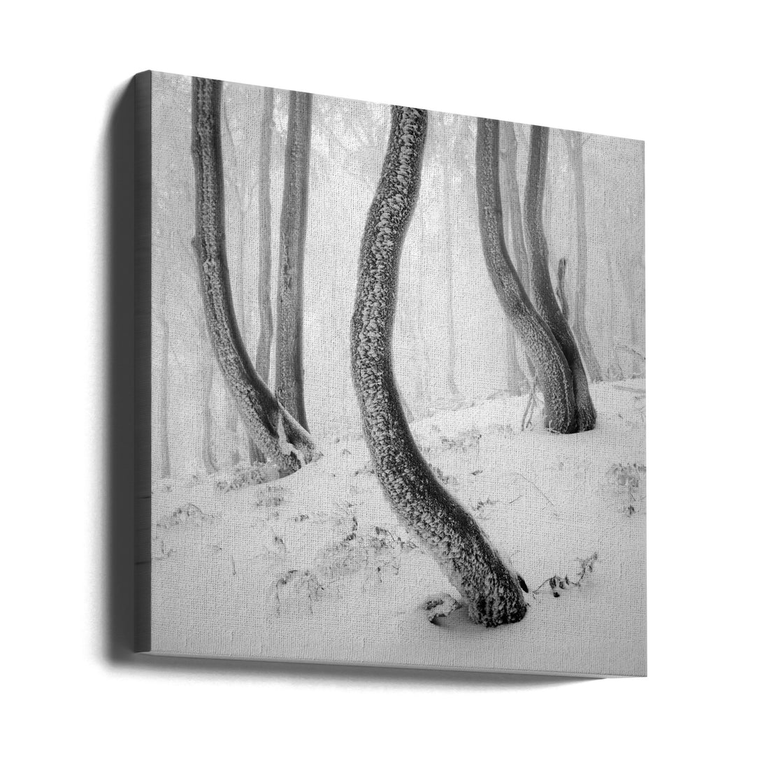 Frozen Forest by Martin Rak | Snowy Winter Landscape, Large Canvas Wall Art Print | Artsy Earth