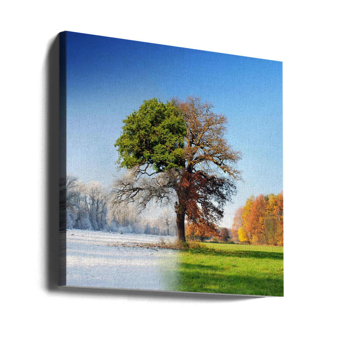 4 Seasons by Adam Brzuszek | Seasonal Landscape Fantasy, Large Canvas Wall Art Print | Artsy Earth