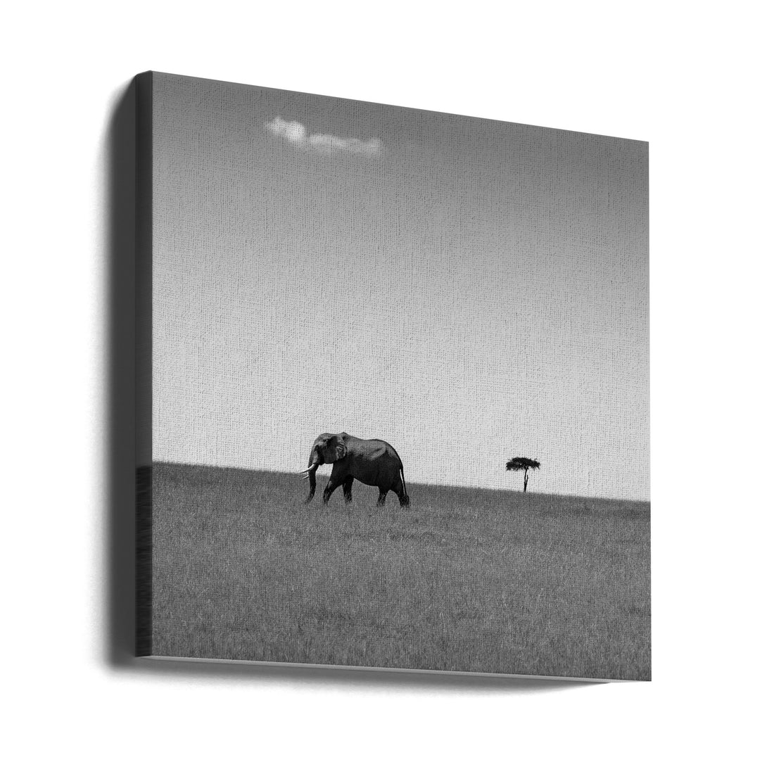 Elephant and the friendly cloud by Ali Khataw | African Wildlife Nature, Large Canvas Wall Art Print | Artsy Earth