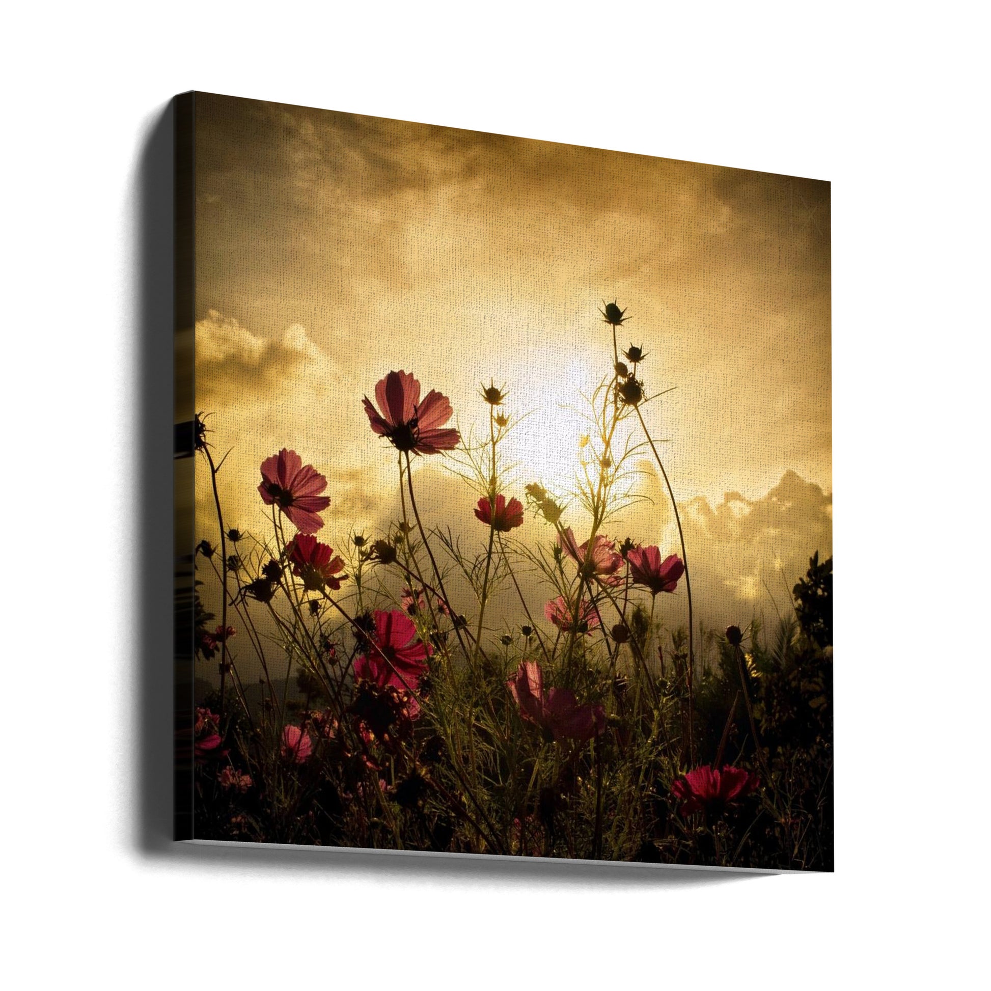 Watching the Sun by Christian Marcel | Sunset Meadow Flowers, Large Canvas Wall Art Print | Artsy Earth