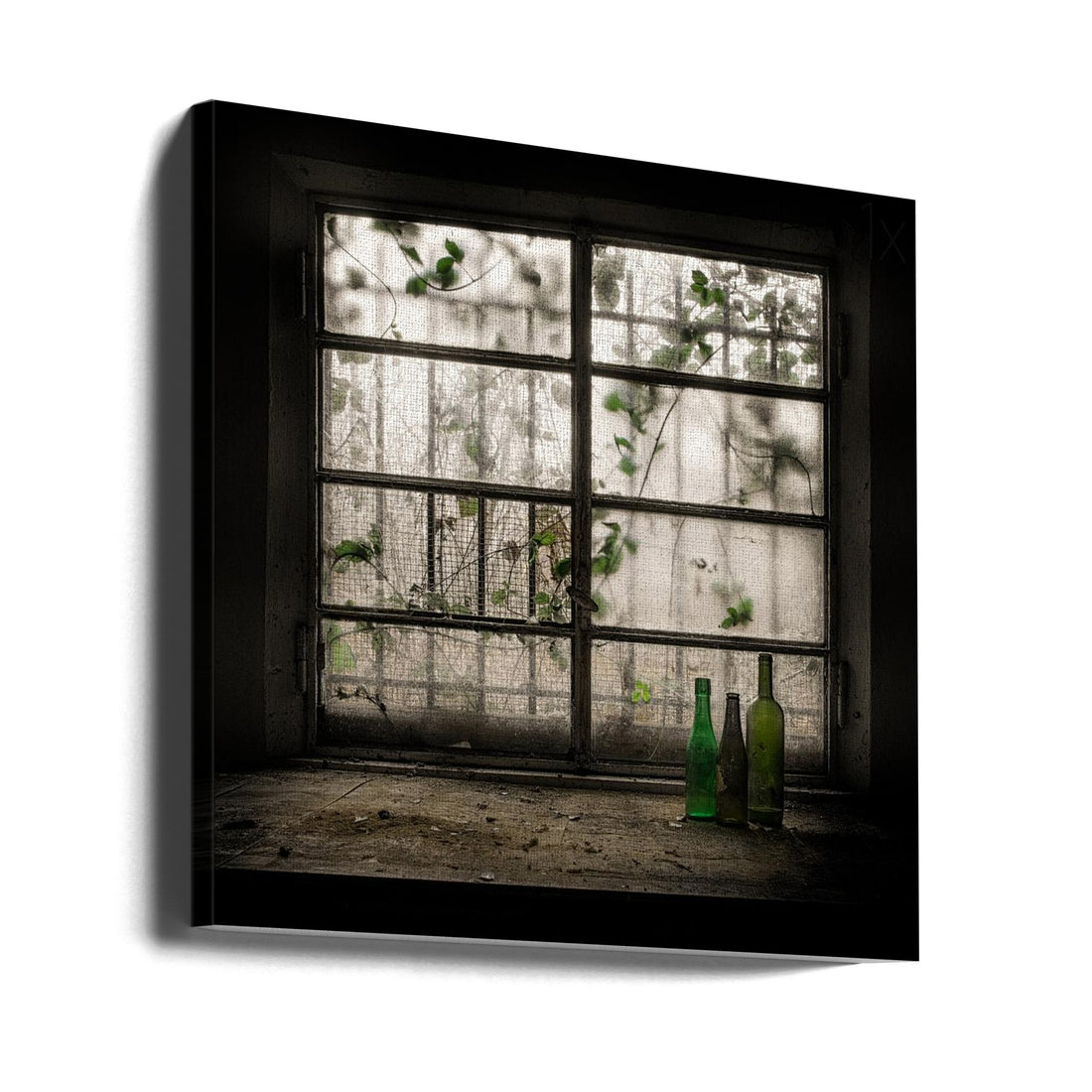 Still-Life with Glass Bottle by Vito Guarino | Serene Window Plants, Large Canvas Wall Art Print | Artsy Earth