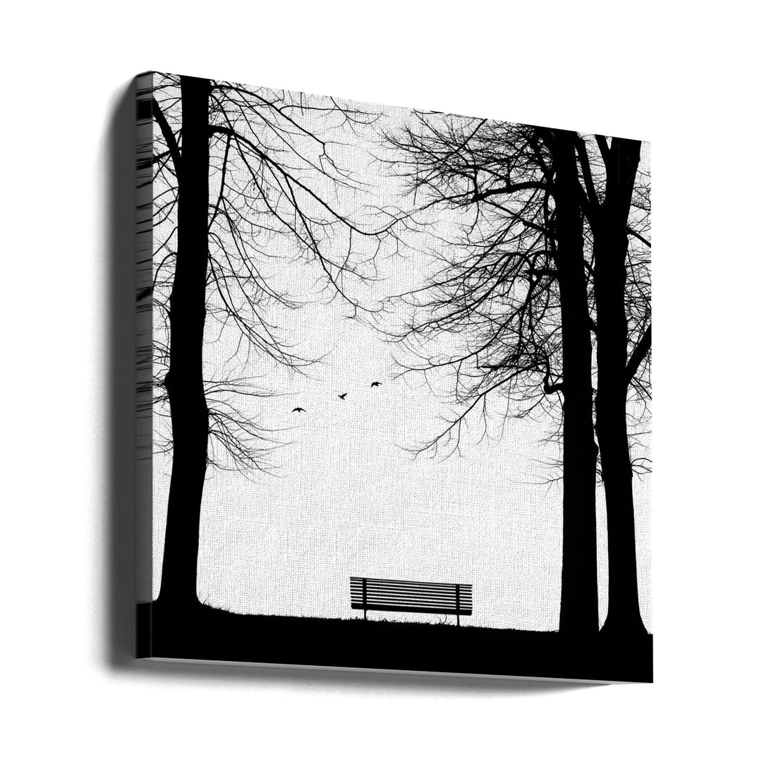 Empty Park Bench by Massimo Della Latta | Black And White Landscape, Large Canvas Wall Art Print | Artsy Earth