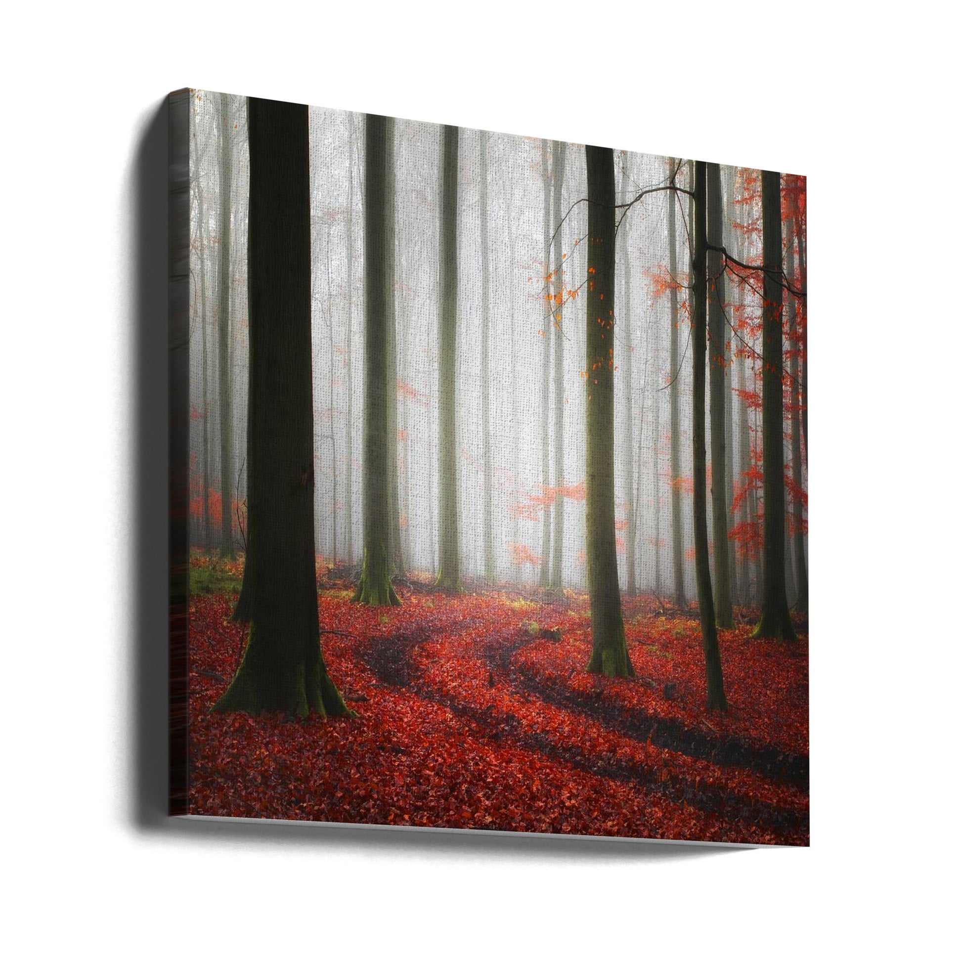 Autumnal Tracks by Carsten Meyerdierks | Foggy Forest Path, Large Canvas Wall Art Print | Artsy Earth