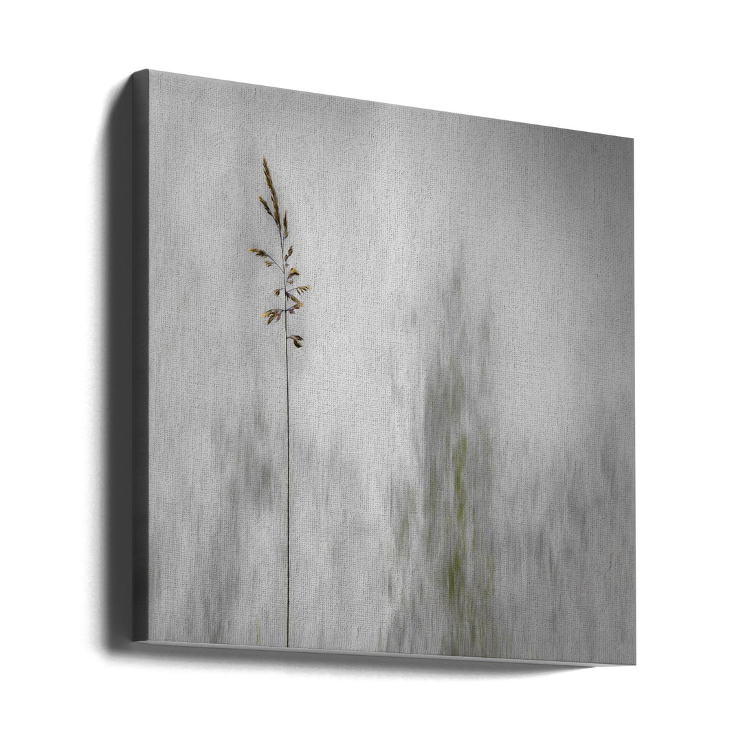 blade of grass by Gilbert Claes | Minimalist Macro Abstract, Large Canvas Wall Art Print | Artsy Earth